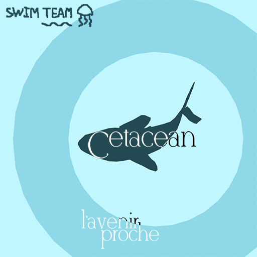 cetacean